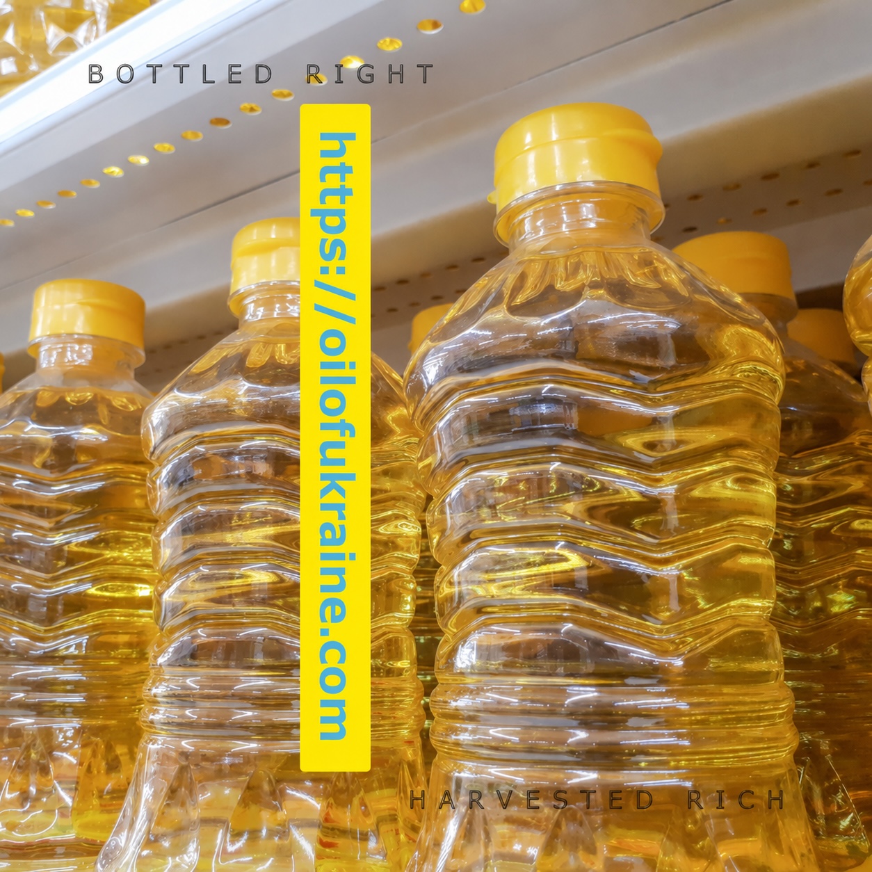premium 1l deep frying oil